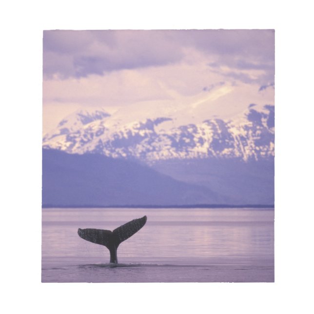 Bloc-note Amérique du Nord, États-Unis, Alaska, Passage inté (Devant)