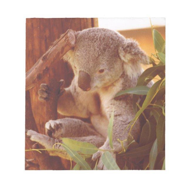 Bloc-note Amour Koala (Devant)