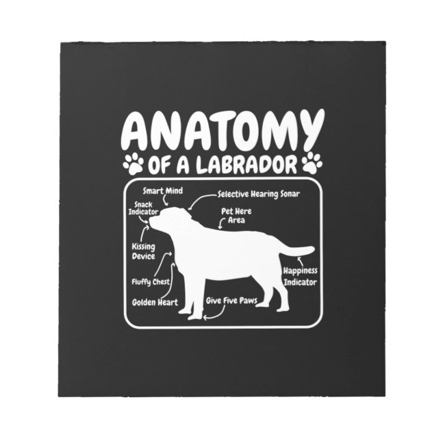 Bloc-note Anatomie du chien du Labrador (Devant)