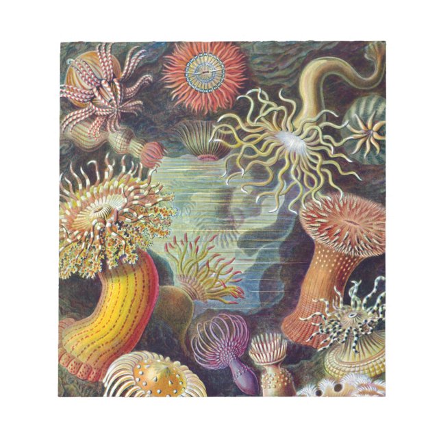 Bloc-note Anémone de mer Nature scientifique Océan (Devant)