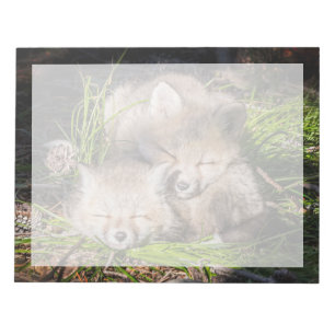 Bloc-note Animaux de bébés cutest   Baby Red Fox Kits Sleepi