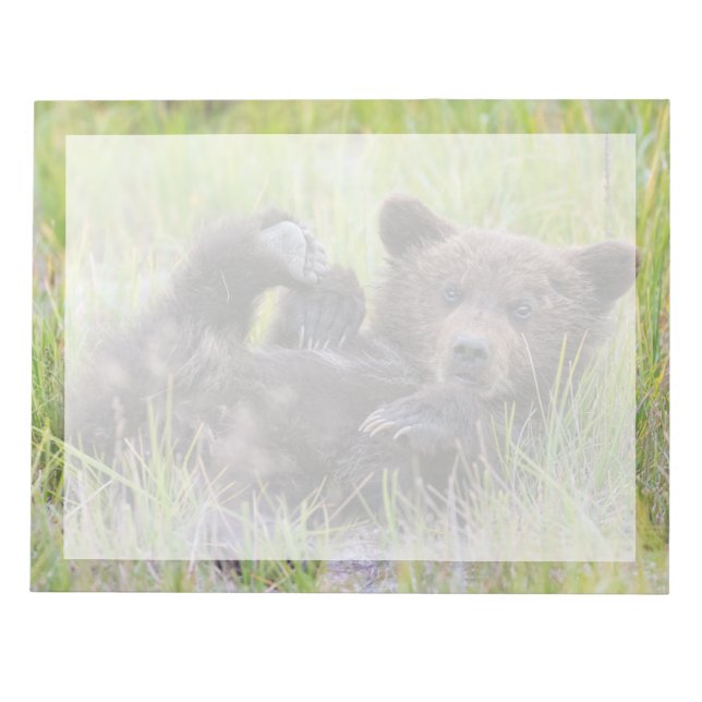 Bloc-note Animaux de bébés cutest | Bébé Ours Brown (Devant)