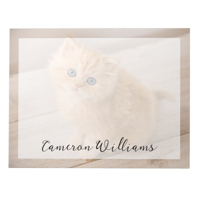Bloc-note Animaux de bébés cutest | British Longhair Kitten (Devant)