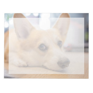 Bloc-note Animaux de bébés cutest   Chiot de Corgi au sol