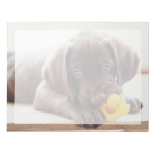 Bloc-note Animaux de bébés cutest Chocolat Labrador Puppy