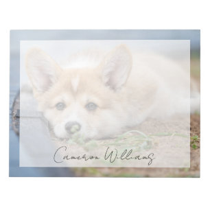 Bloc-note Animaux de bébés cutest   Corgi Laying in the Yard