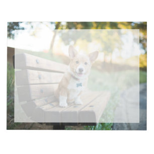 Bloc-note Animaux de bébés cutest   Corgi Puppy sur un banc 