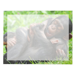 Bloc-note Animaux de bébés cutest Deux jeunes chimpanzés