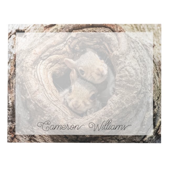 Bloc-note Animaux de bébés cutest | Deux jeunes écureuils (Devant)