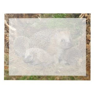 Bloc-note Animaux de bébés cutest   Famille Hérisson
