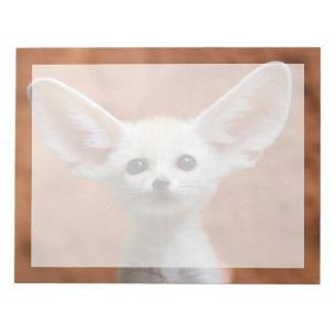 Bloc-note Animaux de bébés cutest   Fennec Fox Pup