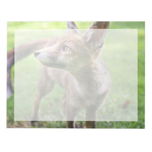 Bloc-note Animaux de bébés cutest   Fox urbain