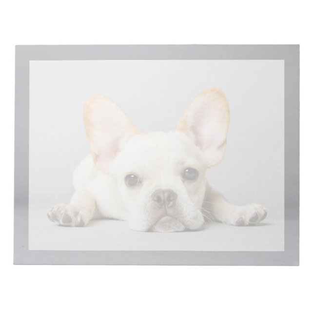 Bloc-note Animaux de bébés cutest | French Bulldog Lying Dow (Devant)