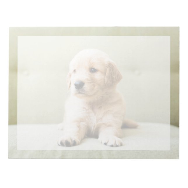 Bloc-note Animaux de bébés cutest | Golden Retriever Puppy (Devant)