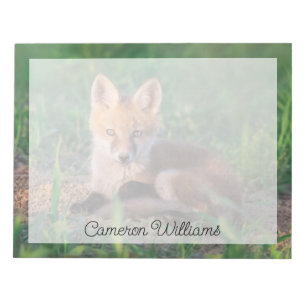 Bloc-note Animaux de bébés cutest   Kit Red Fox Relaxant
