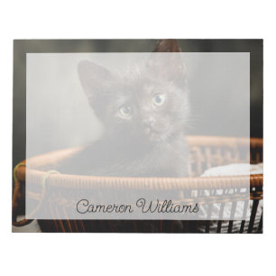 Bloc-note Animaux de bébés cutest Kitten dans le panier