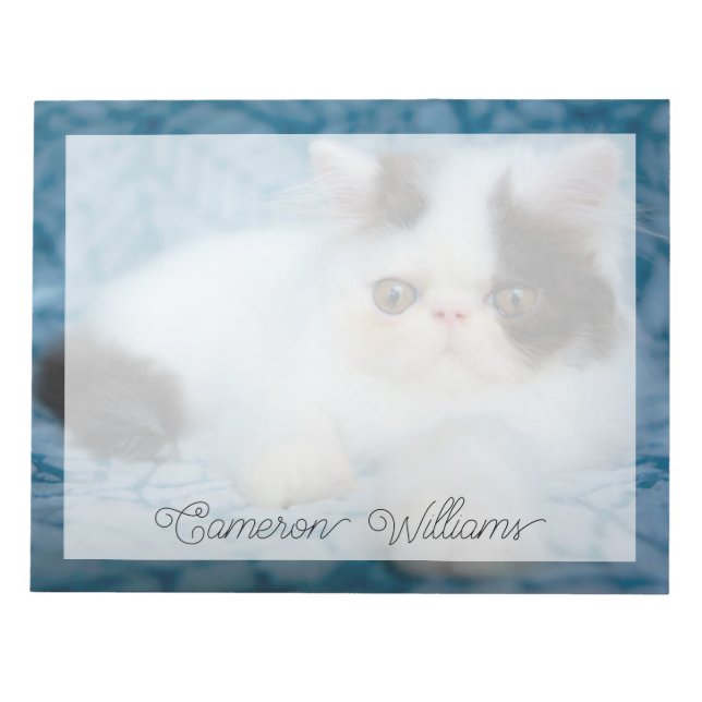 Bloc-note Animaux de bébés cutest | Kitten noir et blanc (Devant)