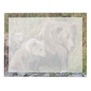 Bloc-note Animaux de bébés cutest   Kodiak Mama Bear & Cubs