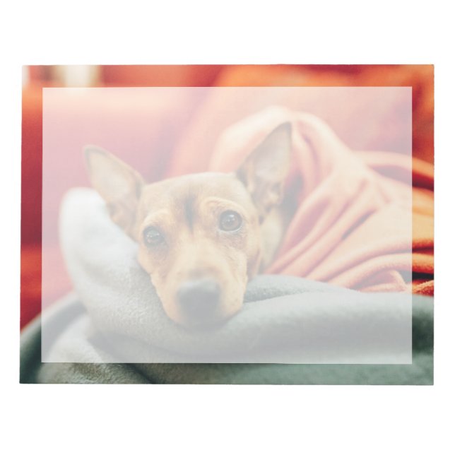 Bloc-note Animaux de bébés cutest | Miniature Pinscher (Devant)
