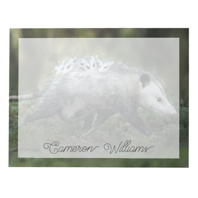 Bloc-note Animaux de bébés cutest | Opossum Maman & Kids (Devant)