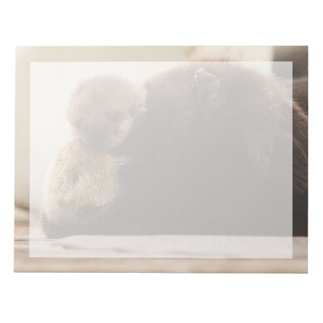 Bloc-note Animaux de bébés cutest | Pompe Otter nouveau-né (Devant)