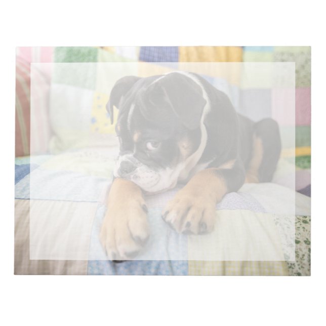Bloc-note Animaux de bébés cutest | Shy Old English Bulldog (Devant)
