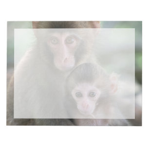 Bloc-note Animaux de bébés cutest   Singes japonais