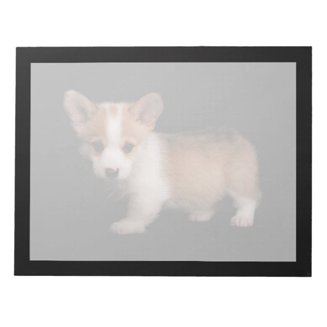Bloc-note Animaux de bébés cutest | Tiny Corgi (Devant)