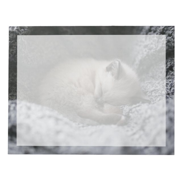 Bloc-note Animaux de bébés cutest | Tiny Kitten Dormir (Devant)