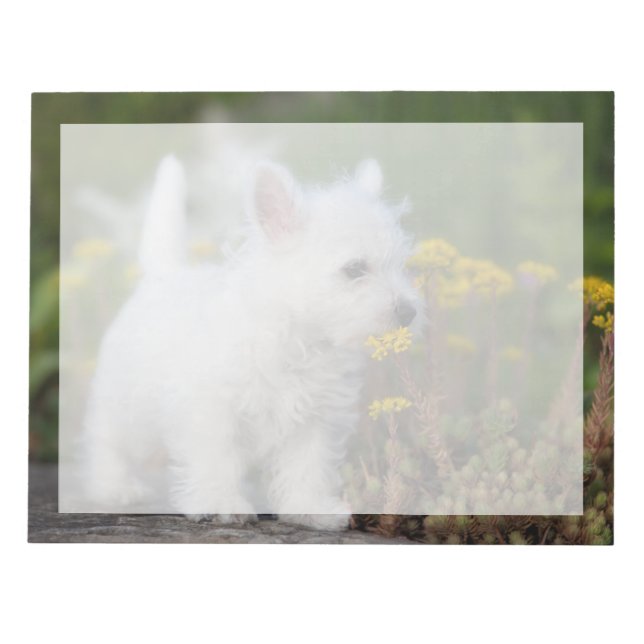 Bloc-note Animaux de bébés cutest | West Highland White Terr (Devant)