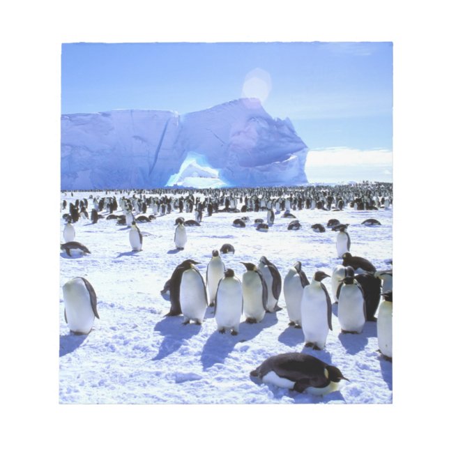 Bloc-note Antarctique, péninsule Antarctique, mer de Weddell (Devant)