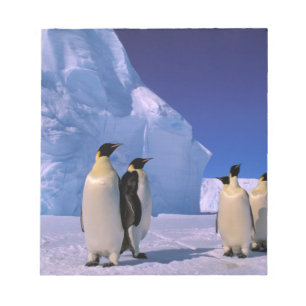 Bloc-note Antarctique, Territoire antarctique australien, 7