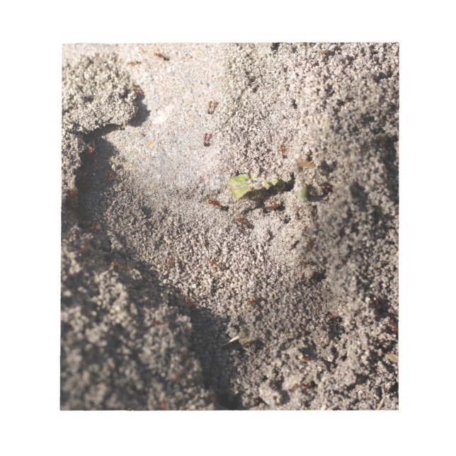 Bloc-note Ants Go Marching (Devant)