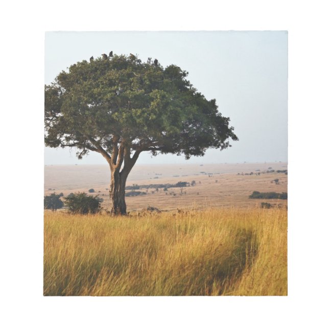 Bloc-note Arbre d'acacia isolé dans les plaines herbeuses, M (Devant)