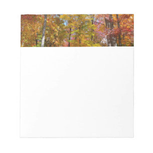 Bloc-note Arbres d'automne orange et jaune Photographie d'au