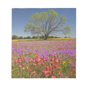 Bloc-note Arbres de mesquite printaniers poussant dans des f