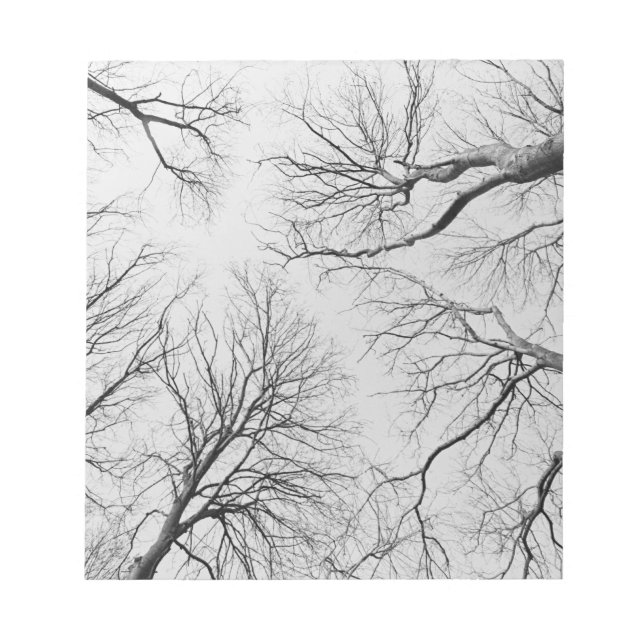 Bloc-note Arbres sans feuilles dans le bois de Thiepval (Devant)