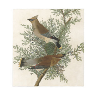 Bloc-note Audubon Cèdre cire oiseau