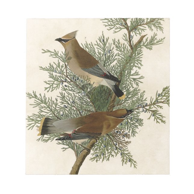 Bloc-note Audubon Cèdre cire oiseau (Devant)