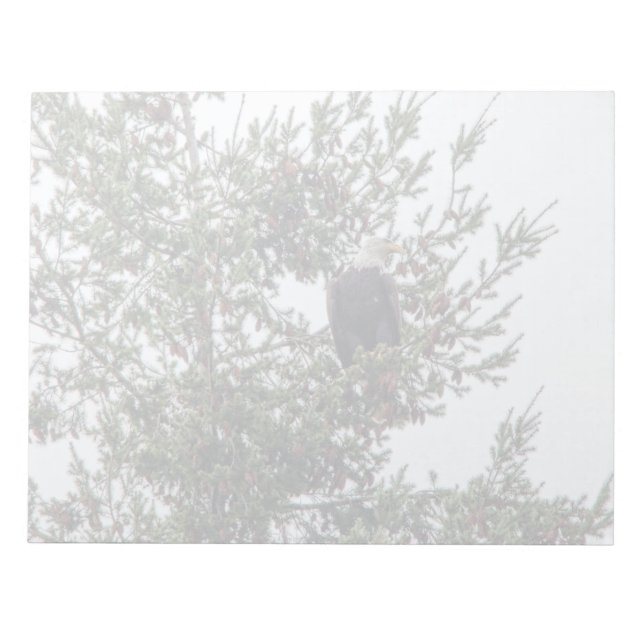 Bloc-note Bald Eagle P2825 (Devant)