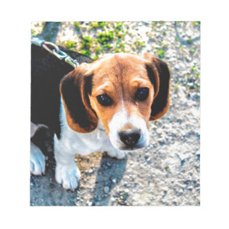 Bloc-note Beagle