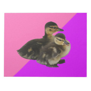Bloc-note Bébé Canards sur framboise rose et sorbet pourpre