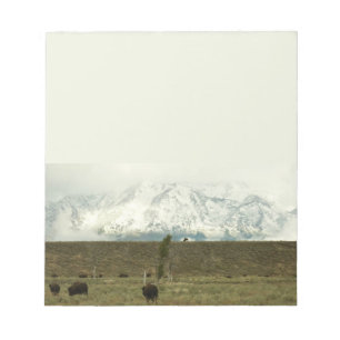 Bloc-note Bison à Grand Teton National Park Photographie