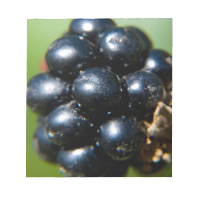 Bloc-note Blackberry (Devant)