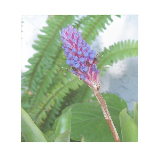 Bloc-note Bleu cône fleur bromélique (Devant)