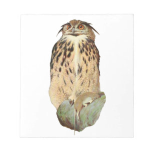 Bloc-note Bloc - notes de hibou à cornes