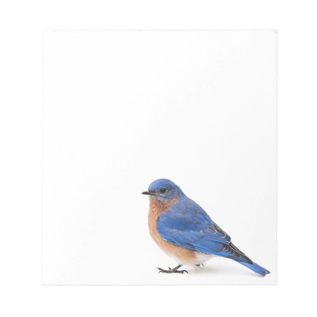Bloc-note Bluebird (Devant)