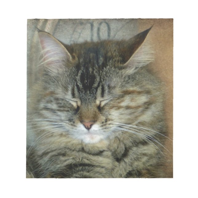 Bloc-note Bob (Devant)