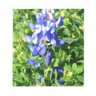 Bloc-note Bonnet bleu TEXAS