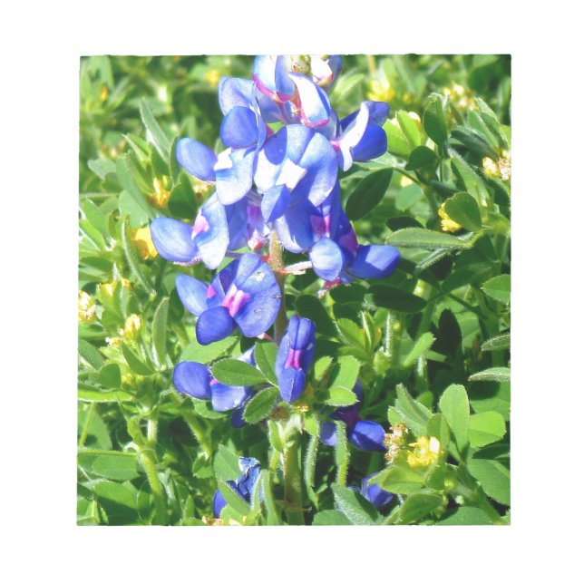 Bloc-note Bonnet bleu TEXAS (Devant)